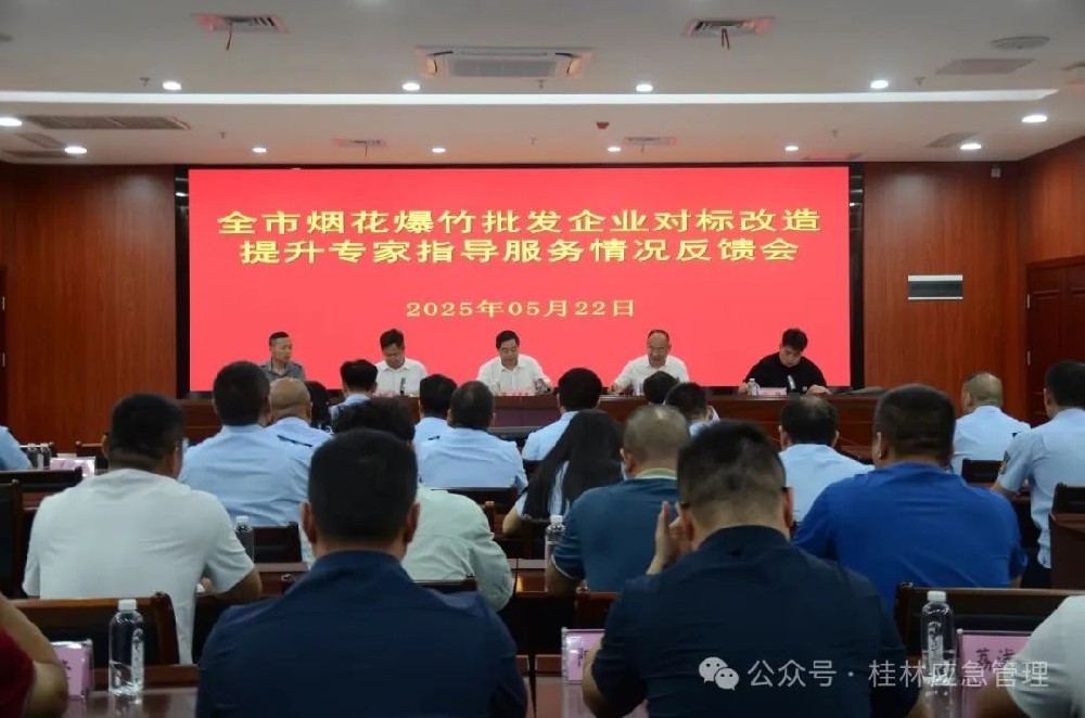 广西开展烟花爆竹批发企业对标改造提升专家指导服务工作
